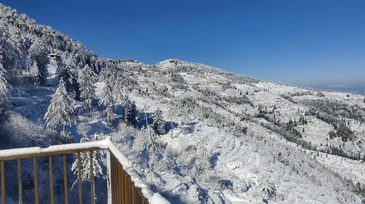 Villa The Dream Mansion Kufri I Party & Music I Sky Bonfire I Group Of Exotic Stays Shimla